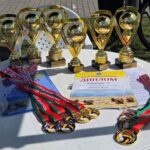 VII областной турнир по пляжному волейболу